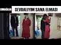 Download Lagu Kurbağalar Türk Filmi | Balkanlı Ali Her Şeyi Geride Bırakıp Elmas'a Koşar