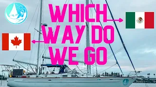 Which way are we SAILING? LIVE CHAT