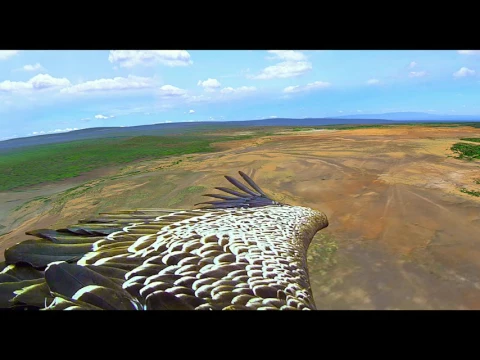 Earthflight - Official Trailer
