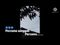 Download Lagu matahari Yang kau piLih