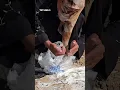 Download Lagu Palestinian woman collects flour spilt onto the ground