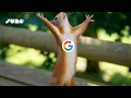 Add Google Sign-In to Your Juno App
