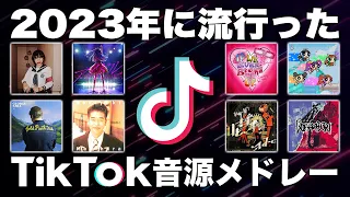 TikTok 全部歌えたら依存性 2023年に流行ったTikTok音源メドレー 最後には 