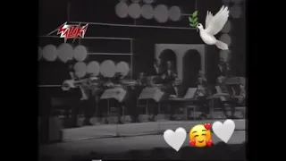 عمر خورشيد المقطوعه اللي جننت الجمهور وطلب اعادتها ٣ مرات 