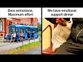50 Posts And Memes That Show Why People From Eastern Europe Are Built Different Bear