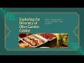 Olive Garden Menu Complete Guide