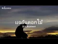 เเจกันดอกไม้ - Z9 X BlackHeart (เนื้อเพลง)