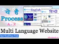 Multi Language Website Kaise Banaye How to Create Multilingual Website Polylang Plugin