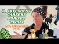 20 Different Careers for Vet Techs