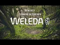 Download Lagu The Field - Weleda - James Brunt Artist