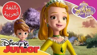 تظهر صوفيا لأمبر انها بطالة صوفيا الأولى ديزني جونيور العربية 