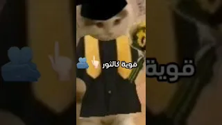 صديقتي العزيزه كيف لا احبك 