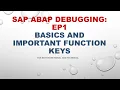SAP ABAP Debugging EP1 Debugging Basics and Function Keys For Both Functionals and Technical