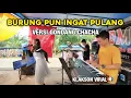 Download Lagu KLAKSON VIRAL!!! BURUNG SAJA TERBANG TAK LUPA PULANG VERSI GONDANG NOSTALGIA  - VIRAL DI TIKTOK