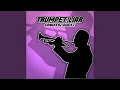 Download Lagu TRUMPET LIAR