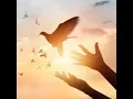 Download Lagu Prayer Cycle - Mercy 🎼🎧