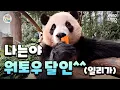 Download Lagu Hui's mukbang updates🍞 Now a water tower expert! (It's a lie lol)｜#PandaWasong #222