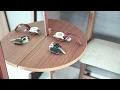 匠工芸 MIRROR DRESSER