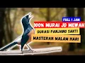 Download Lagu Masteran murai 1 JAM Full Isian mewah, 100 % Jadikan murai Anda Jadi Mewah