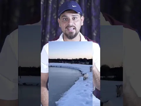 Zindagi 😌 | mofiz #short #viral #trending #mofizmallick