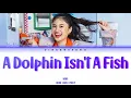 NaNa - โลมาไม่ใช่ปลา (A Dolphin Isn't A Fish) l (Thai/Rom/Eng) Lyric Video