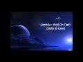 Download Lagu Lambda - Hold On Tight (Nalin \u0026 Kane)