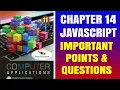 11th Computer Application Chapter 14 JavaScript Tamil Explanation