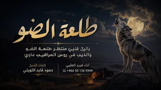 اقوى شيله يمنيه    الذيب في روس المراقيب عاوي    فريد العليي      دندنها