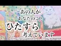 Download Lagu ✨✨予祝あり✨✨あの人があなたについてひたすら考えています【恋愛💖タロット】