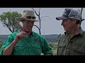 Scanning with David Reid - Gyranda Santa Gertrudis