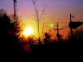Download Lagu Pole Folder \u0026 CP - Apollo Vibes (Original Mix)
