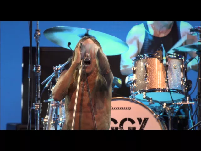 Iggy Pop concert from Basel | In Cinemas