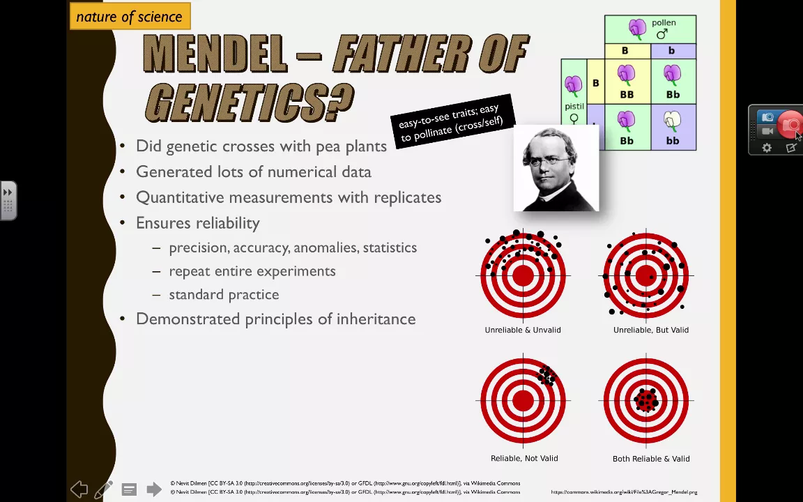 Cover image for Discovering Mendel's Groundbreaking Pea Plant Experiments