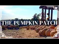 THE PUMPKIN PATCH CHRISTIAN MEDITATIONS BEAUTIFUL SCENERY JOYFUL THOUGHTS