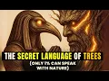 If You DO THIS You ll BE ABLE TO SPEAK with TREES Thoth s Method to Communicate with NATURE