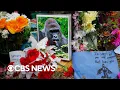Killing of Harambe the gorilla sparks backlash 2016