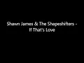 Shawn James & The Shapeshifters - If That's Love (Sub Español)