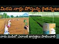 Download Lagu #మిరప నార్లు పోసుకుంటున్న రైతన్న నారు మడిలో ఎలాంటి జాగ్రత్తలు పంటించాలి@MB-uk4gl