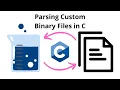 Parsing Custom Binary Files in C