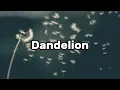 Lagu Ella Langley - Dandelion (Lyrics)