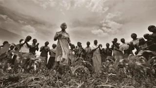 caiiro no freedom original mix 