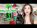 Things You Can Buy at DOLLAR TREE for Rabbits