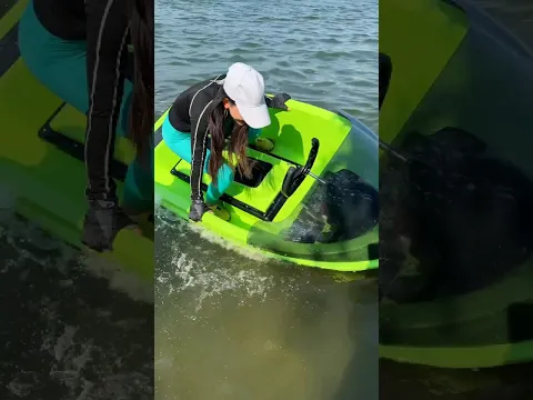 Mini BOAT, BATTERY POWERED #shorts