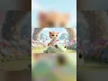 Download Lagu kids song😁 #kids #funny #cartoon #comedy #lagu#lagubudak#animation #budak#song #kidsongs