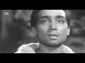Ho Ke Majboor Mujhe Usne Bhulaya Hoga 🎶 | Haqeeqat (1964) | Emotional Classic 4K Hindi Song