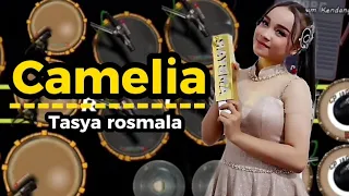 Download CAMELIA ||TASYA ROSMALA - Real kendang MP3