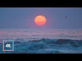 Download Lagu Relaxing Ocean Sounds and Sunrise at Hilton Head Island, Chill Ocean Waves