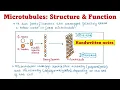 Microtubules Structures and Functions