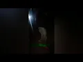 Gangsta Gangsta : Official Visuals 