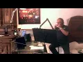Download Lagu SOMETHING STUPID (Harmonica)